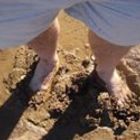 nige-gribble’s profile image