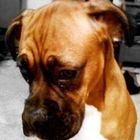 ceero’s profile image