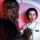 francois-pumir’s profile image