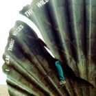 emma-wallis’s profile image