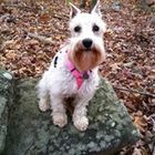 emily-freeman’s profile image