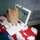 SallyNess’s profile image