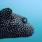 sabrina-engelhardt’s profile image