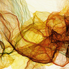 tigersushi’s profile image