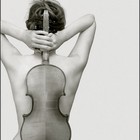 vela8pulsar’s profile image