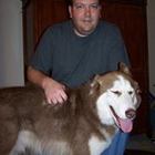 darren-g-miller’s profile image