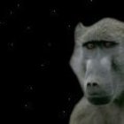 steve-webber’s profile image