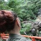 vanessa-anscomb’s profile image