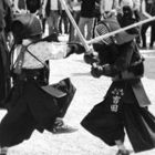 nikos-kiosses’s profile image