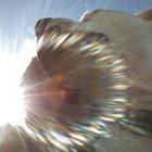 nicole-carpenter-1’s profile image