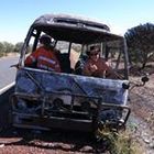 lou-is-1’s profile image