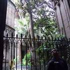 aston-lucas-read’s profile image