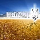 olya-phillips’s profile image