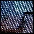 carlos-paris-martin’s profile image