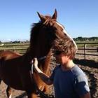 gerard-rikkelman’s profile image