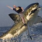 mckinley-sayre’s profile image