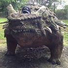 shawn-zukus’s profile image