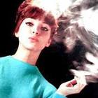 nur-gulsen’s profile image