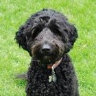 JSully34’s profile image