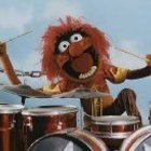 donovan-meunier’s profile image