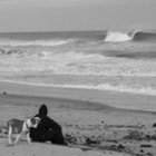 brooks-morton’s profile image