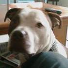 wayne-morley’s profile image