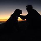 wally-shirey’s profile image