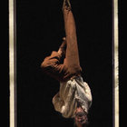 mauro-macella’s profile image