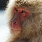 brian-penny-1’s profile image