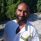 palashdave’s profile image