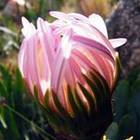 abbi-watts’s profile image