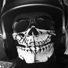 alessandro-camargo’s profile image