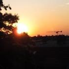 Zarmortis’s profile image