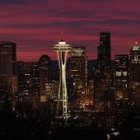 ed-goralnick’s profile image