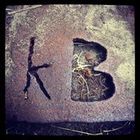 kim-boeijen’s profile image