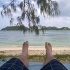 tom-reiter’s profile image