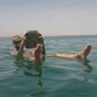 yannou-le-goff’s profile image