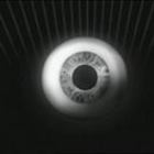 carlosbela’s profile image