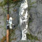 manolo-rodriguez-per’s profile image