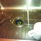 imalonerdottie’s profile image