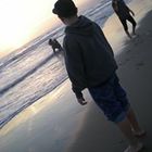 leon-sanchez’s profile image