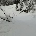 anita-unger’s profile image