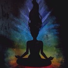 tianna-wing’s profile image