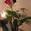 claire-reinecke’s profile image
