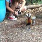 icanimaginedragons’s profile image