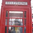 RR2121’s profile image