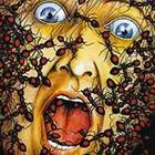 luc-messina’s profile image