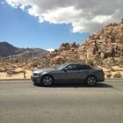 kev-mcnabb’s profile image