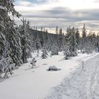 robert-doeckel’s profile image