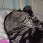 catherine-hyde’s profile image